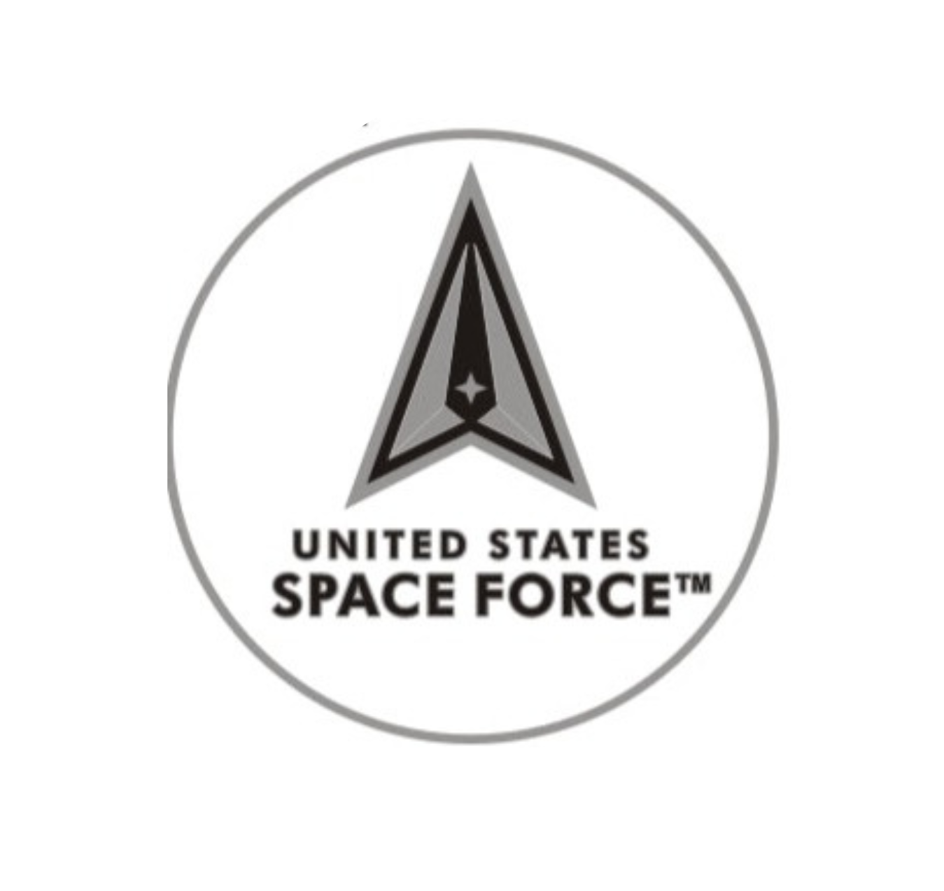 U.S. Space Force Round Lapel Pin