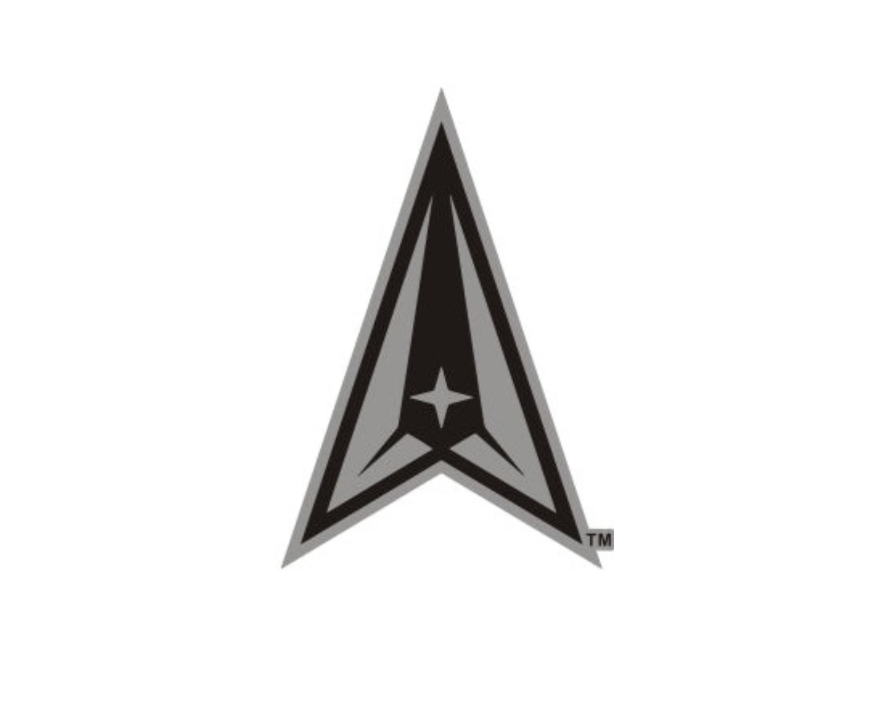 U.S. Space Force Cut-Out Lapel Pin – ShopAFA
