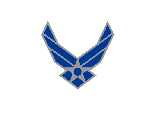 U.S. Air Force Cut-Out Lapel Pin - ShopAFA