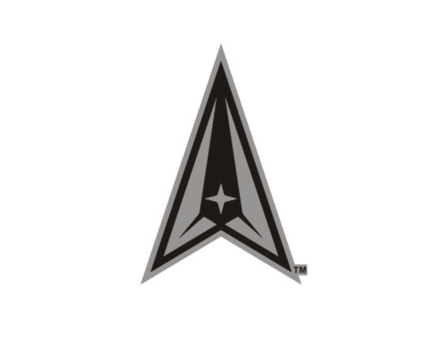 U.S. Space Force Cut-Out Lapel Pin - ShopAFA