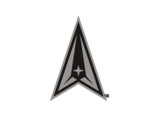 U.S. Space Force Cut-Out Lapel Pin - ShopAFA