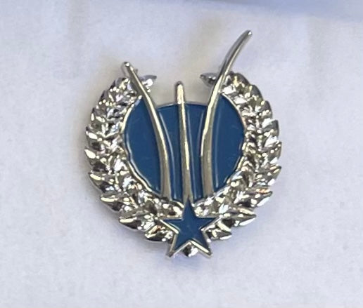 Air Force Memorial Pin