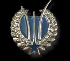 Air Force Memorial Pin